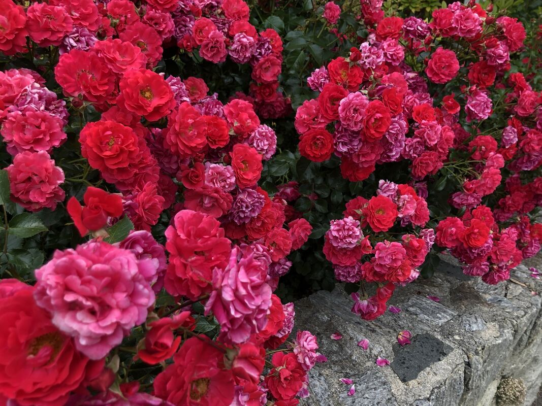 GEA-DAV-Wanderreise_2024_Iris Goldack_ (40)