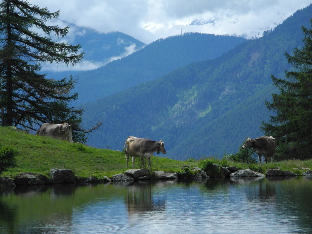 GEA-DAV-Wanderreise_2024_Marc Röder_ (35)