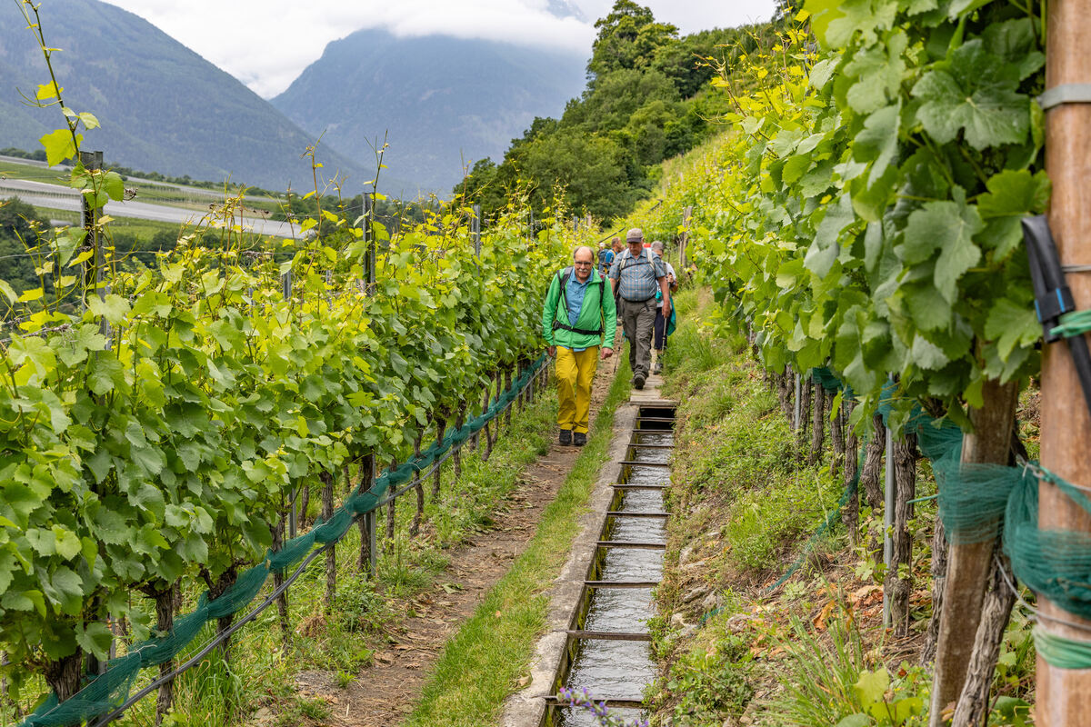 GEA-DAV-Wanderreise_2024_Helmut Kober_ (8)