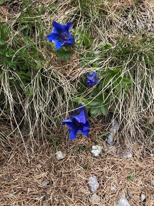 GEA-DAV-Wanderreise_2024_Iris Goldack_ (7)