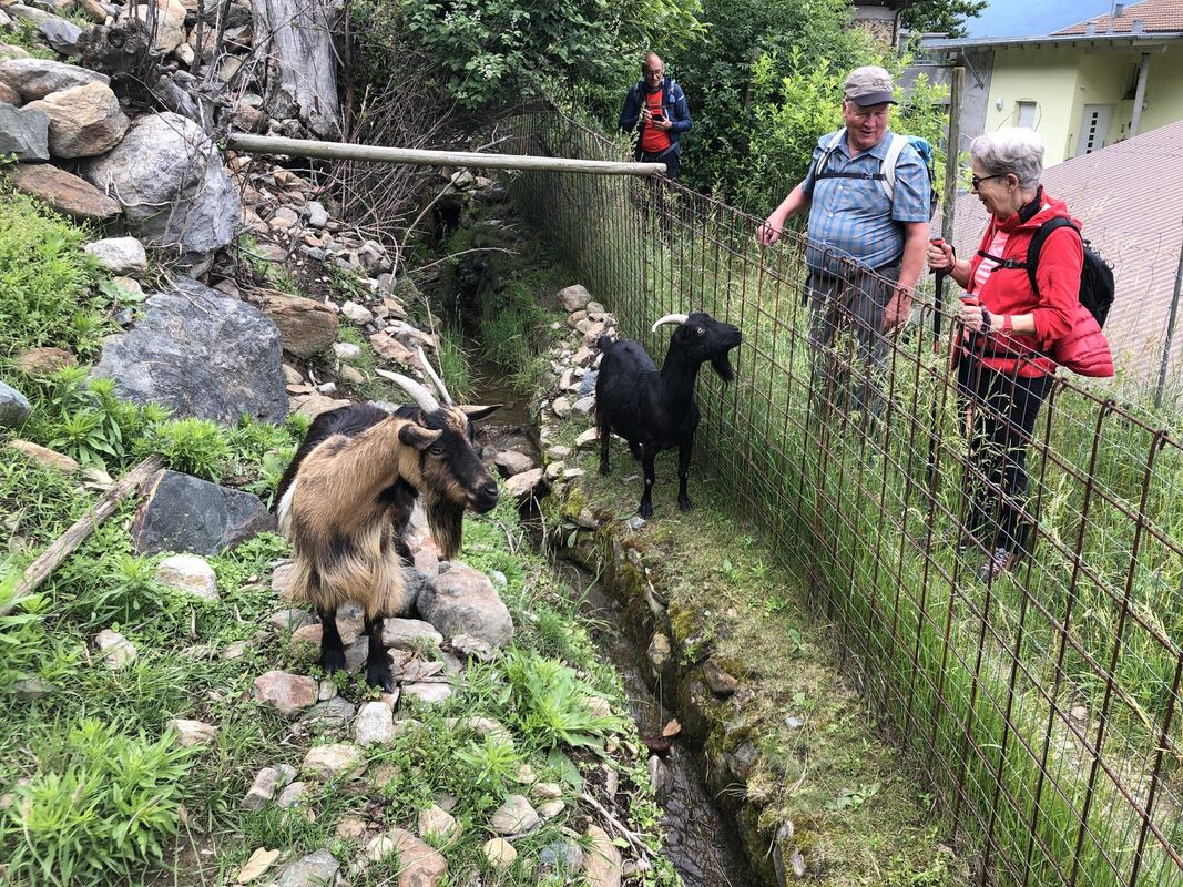 GEA-DAV-Wanderreise_2024_Iris Goldack_ (12)