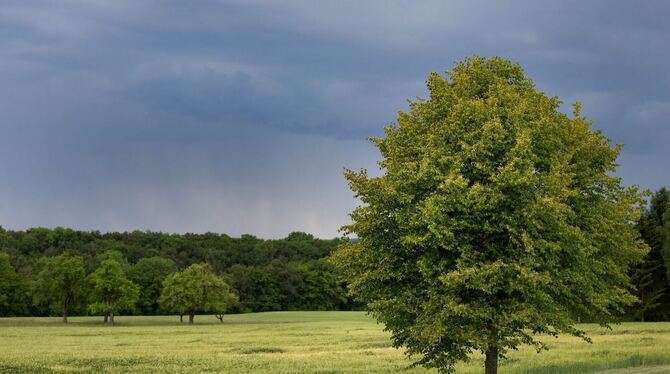 Wetter auf der Schwäbischen Alb Wetter auf der Schwäbischen Alb