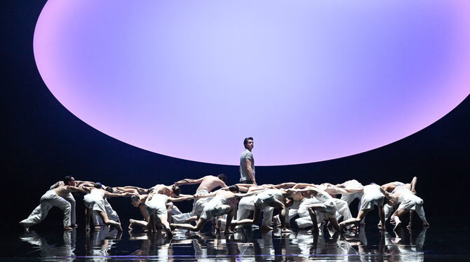 Engel und ein pinkfarbenes Paradies: »The Place of Choice« von Roman Novitzky, mit David Moore (Mitte).