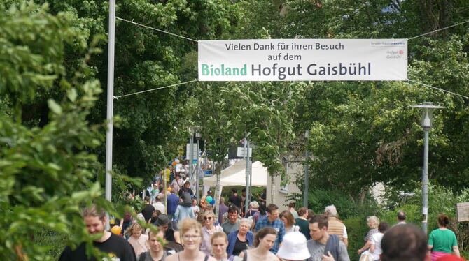 Bruderhaus Jahresfest Beim Pendeln zwischen Gaisbühl und Werkstätten.