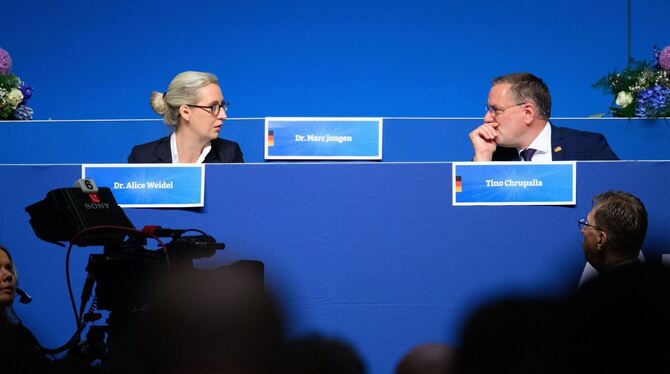 AfD-Bundesparteitag AfD-Bundesparteitag