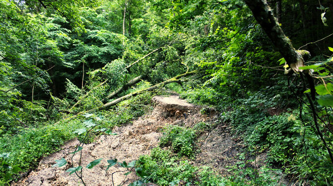 Nichts geht mehr: Vom ehemaligen Weg ist nur noch ein kleines Stück (Bildmitte) zu erkennen.