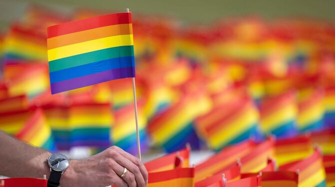 Regenbogenflaggen