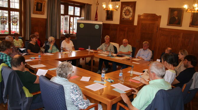 Rund 30 Personen waren zur Gründungsversammlung des Bündnisses für Demokratie und Menschenrechte in den Historischen Sitzungsaal