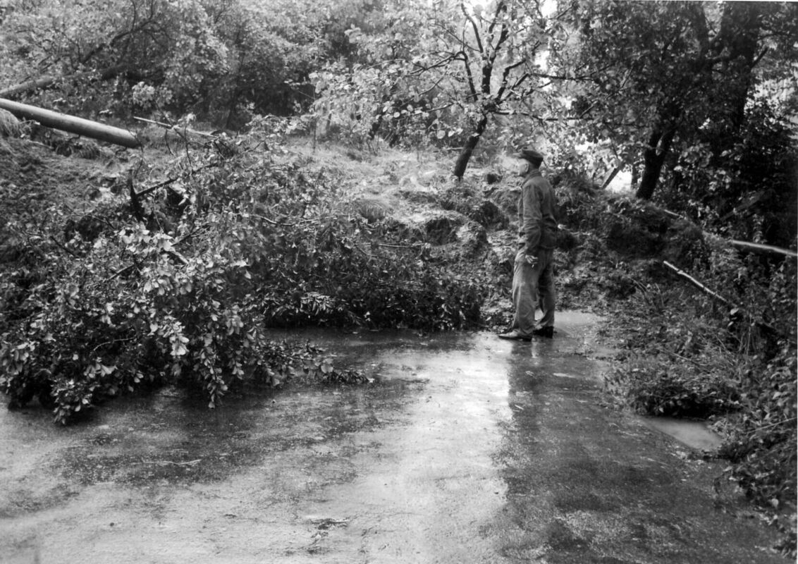 hochwasseralt_1966_5