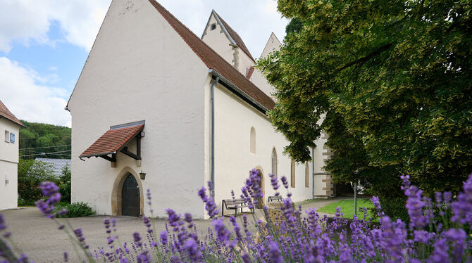 GEA-Vertreterinnen stellen sich am Mittwochnachmittag vor die  Marienkirche.