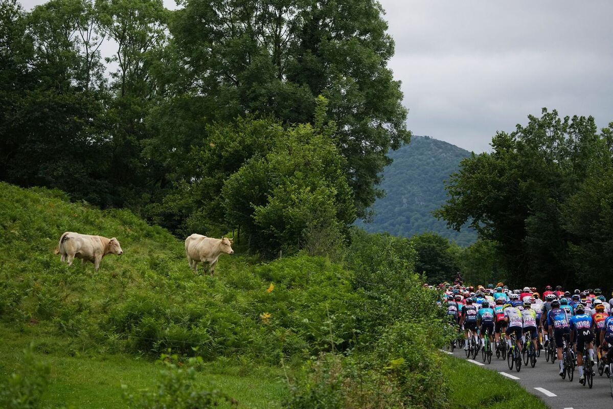 UCI WorldTour - Tour de France UCI WorldTour - Tour de France