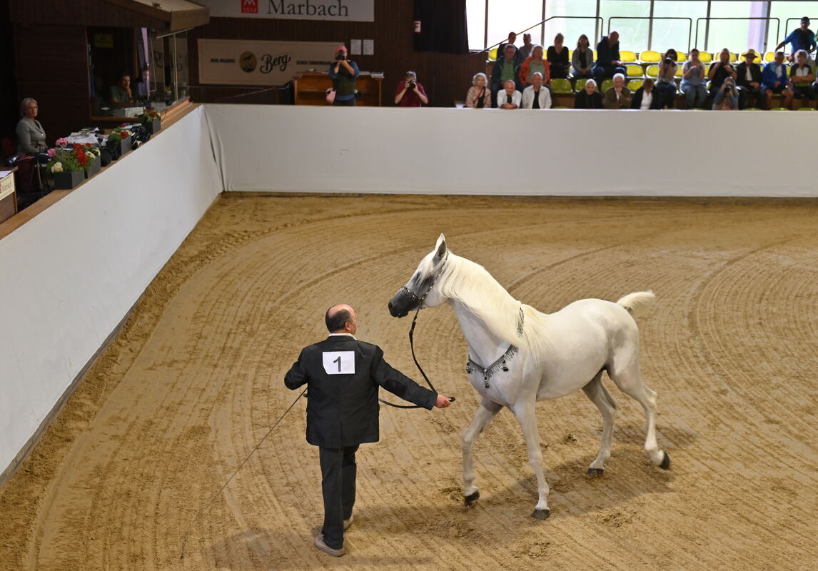 Arabertag FOTOS MEYER_05