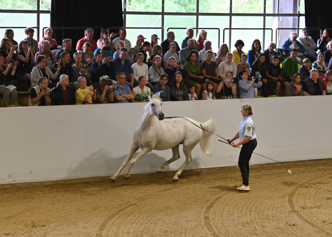 Arabertag FOTOS MEYER_07