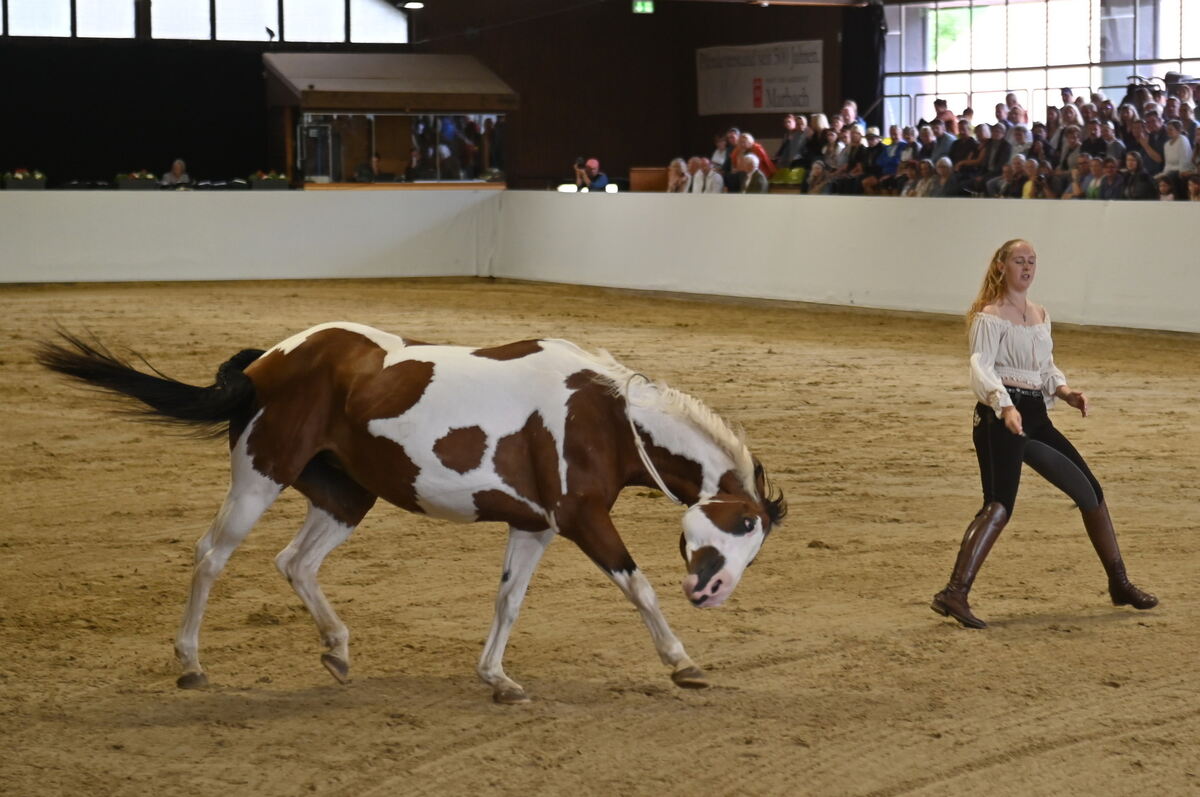 Arabertag FOTOS MEYER_13