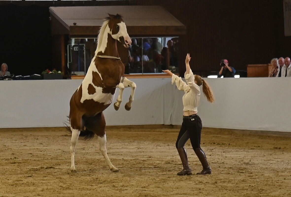 Arabertag FOTOS MEYER_14