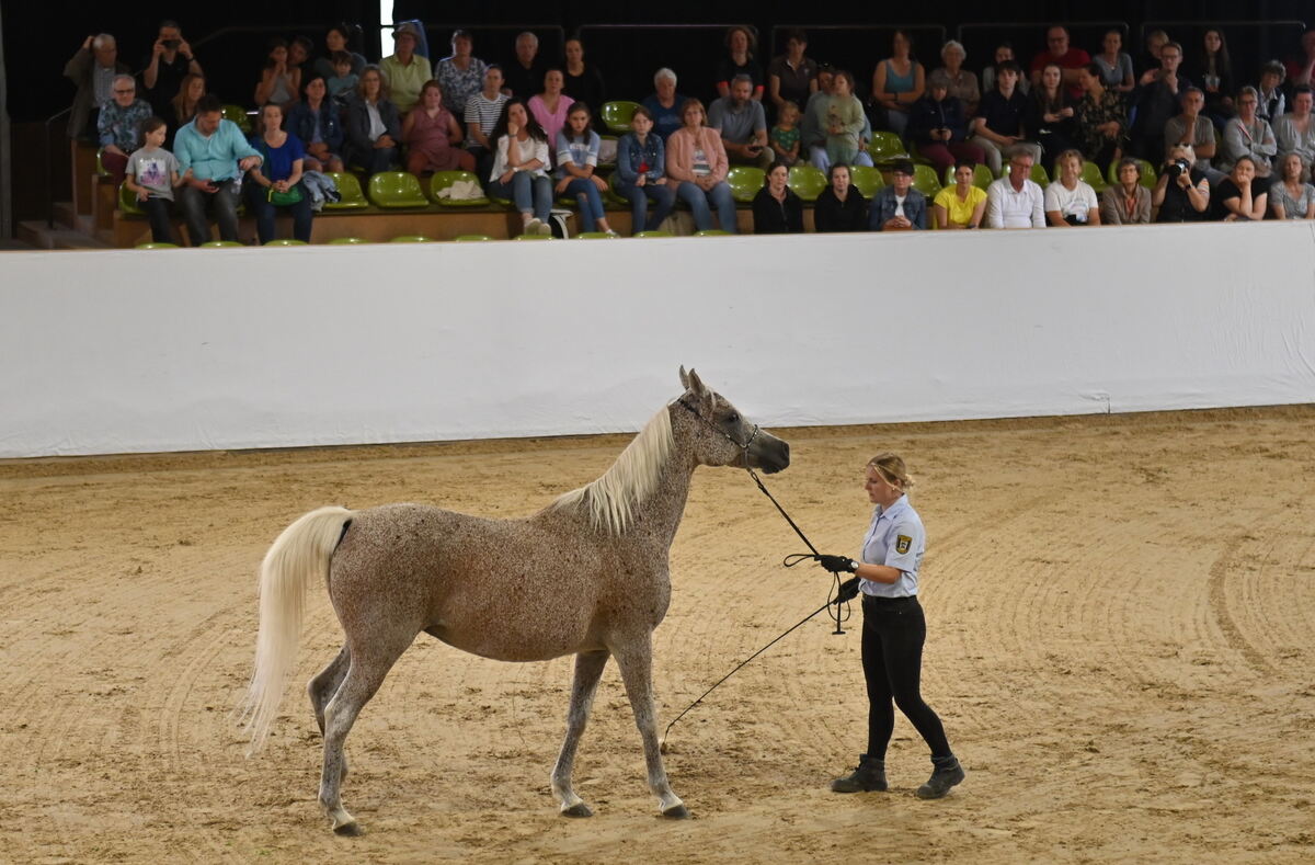 Arabertag FOTOS MEYER_19