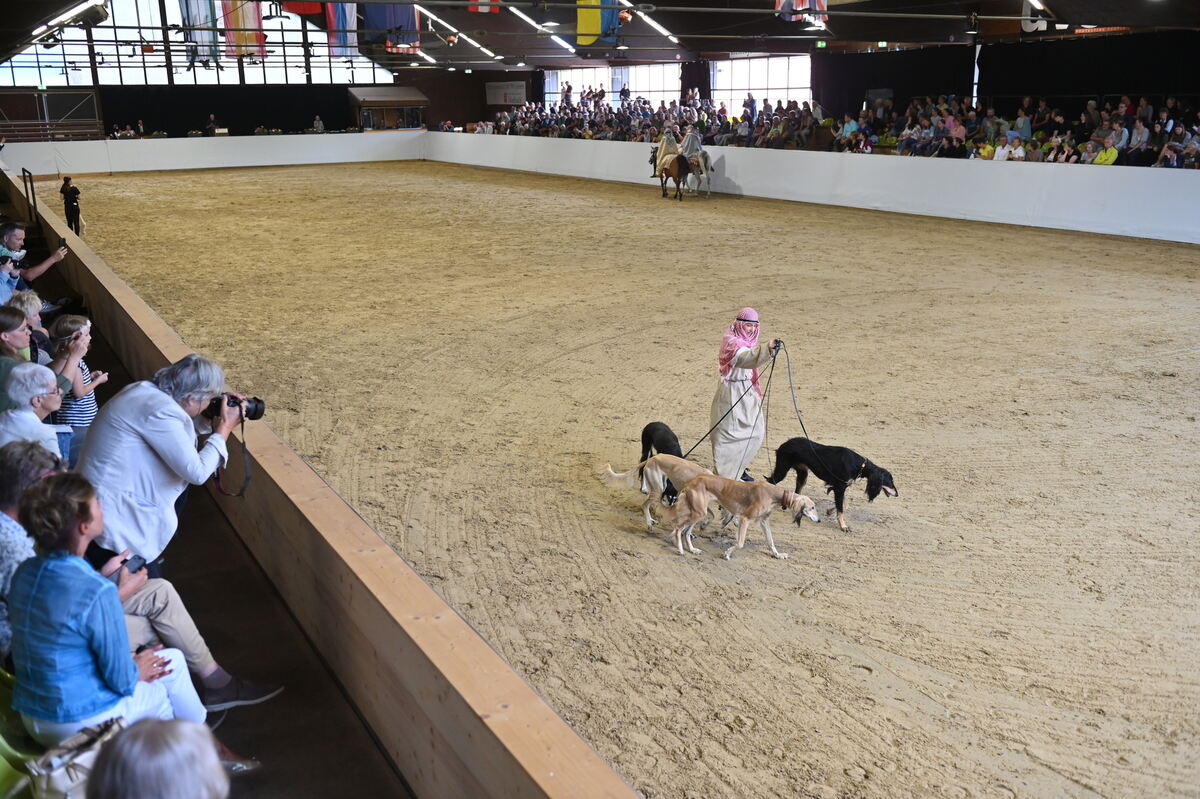 Arabertag FOTOS MEYER_28