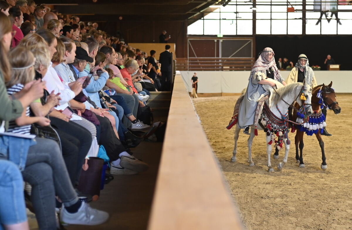 Arabertag FOTOS MEYER_29