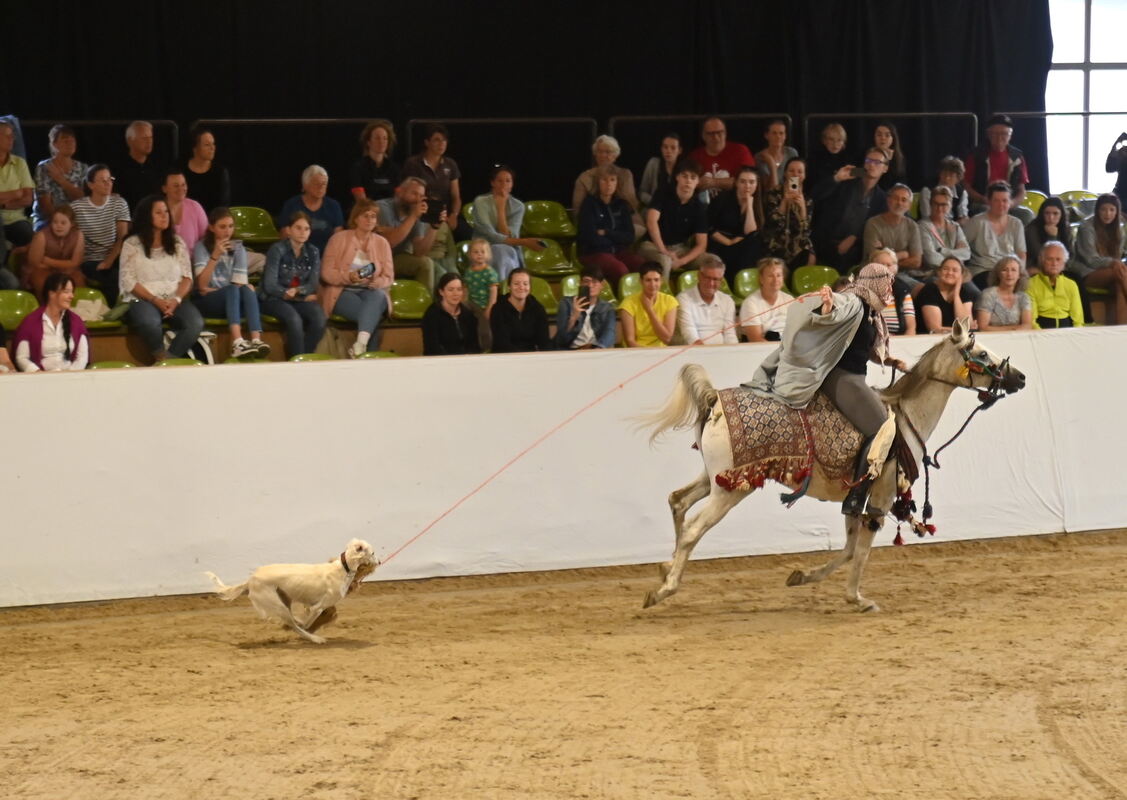 Arabertag FOTOS MEYER_33