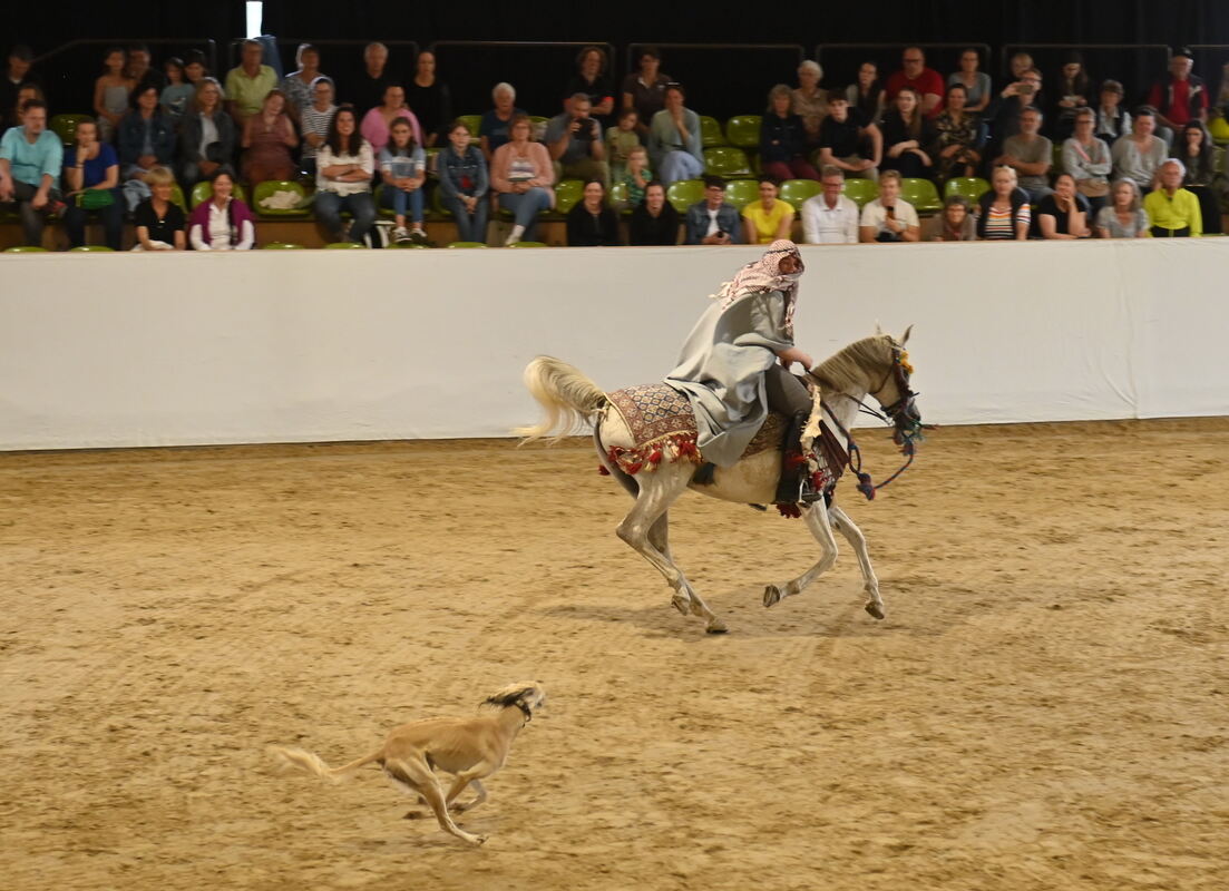 Arabertag FOTOS MEYER_34