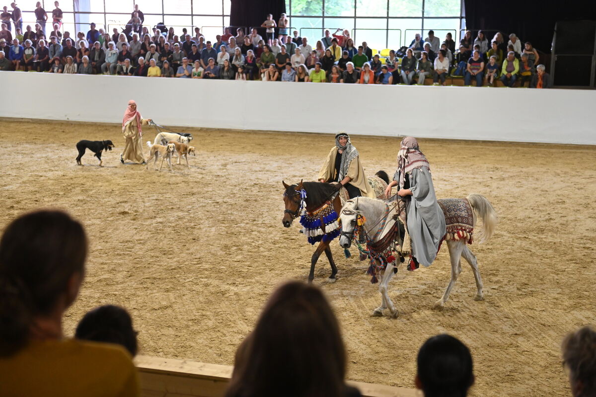 Arabertag FOTOS MEYER_35