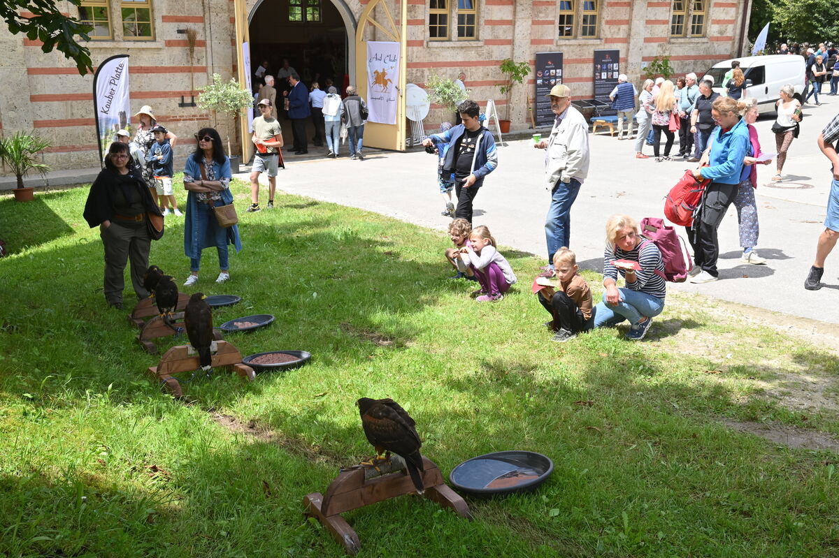 Arabertag FOTOS MEYER_01