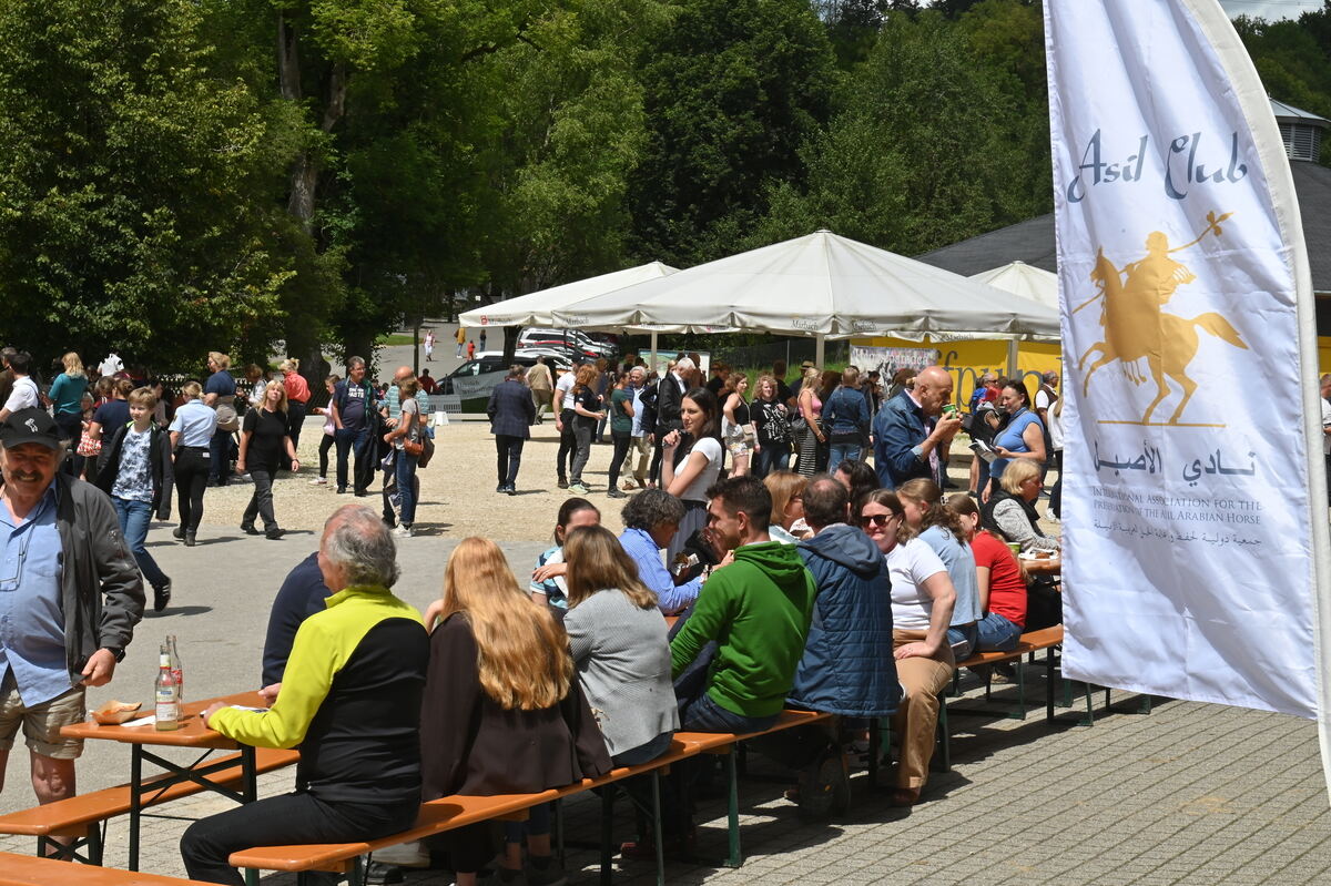 Arabertag FOTOS MEYER_04