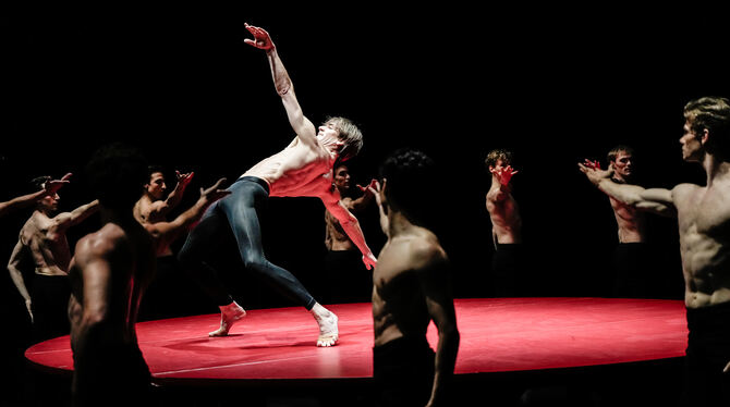 friedemann vogel ballett aufführung foto novitzky stuttgarter ballett Friedemann Vogel in »Bolero« von Maurice Béjart.