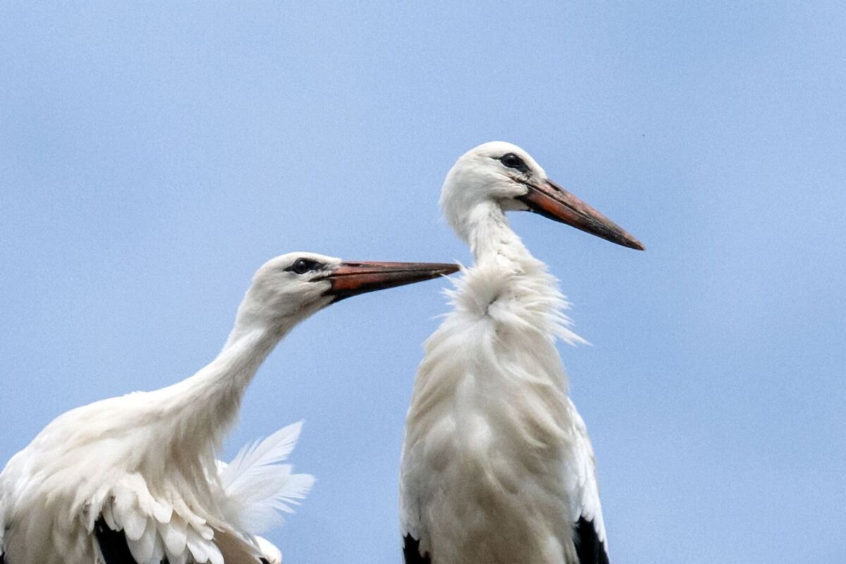 Sommerwetter in Nordbayern