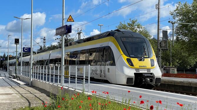 Zug Bahn Metzingen Bahnhof SWEG Blumen Kornblumen Ein Triebzug nach Tübingen hält auf Gleis 1 in Metzingen. Zwischen Gräsern wachsen viele rote Mohnblumen. Während der Sommerferi