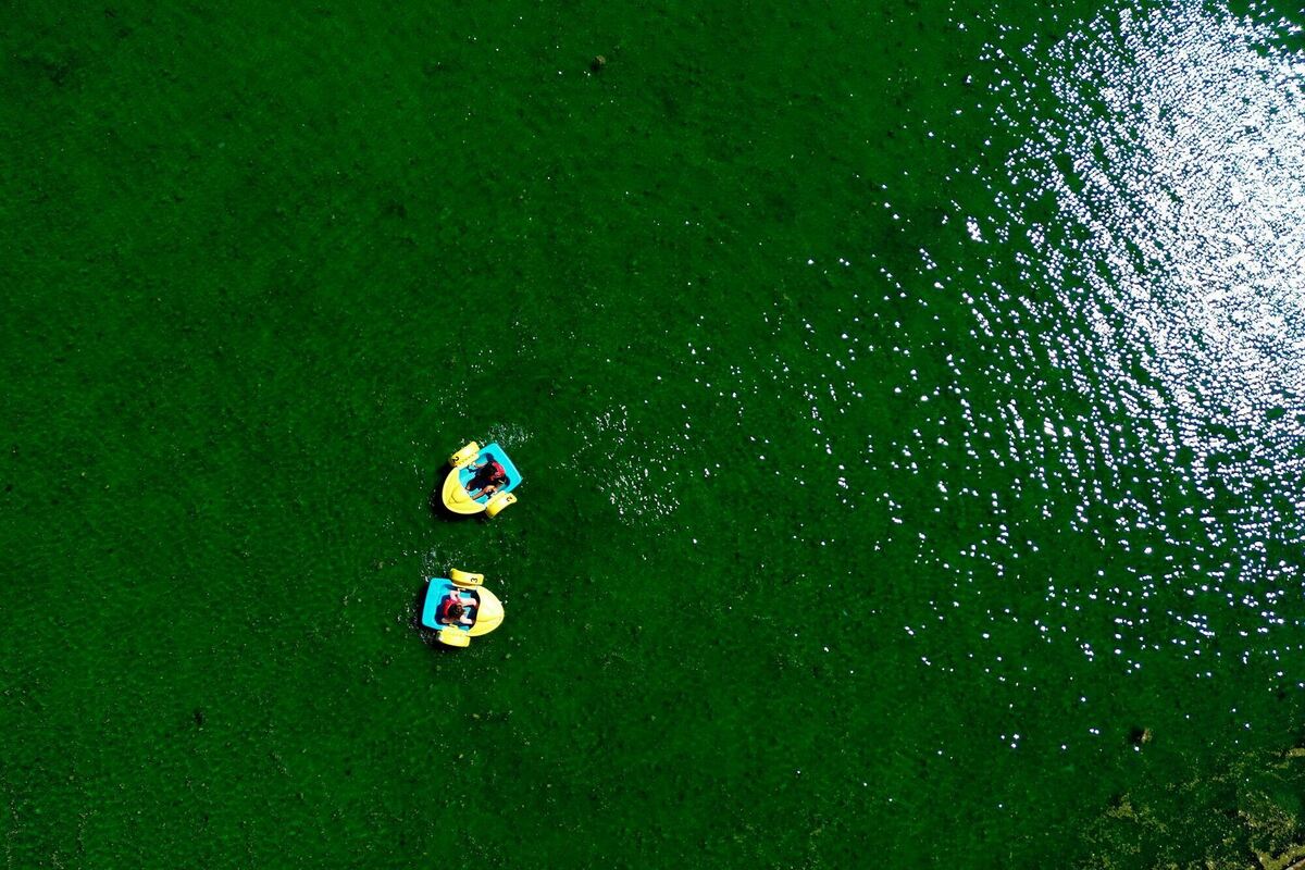 Hitze in Großbritannien