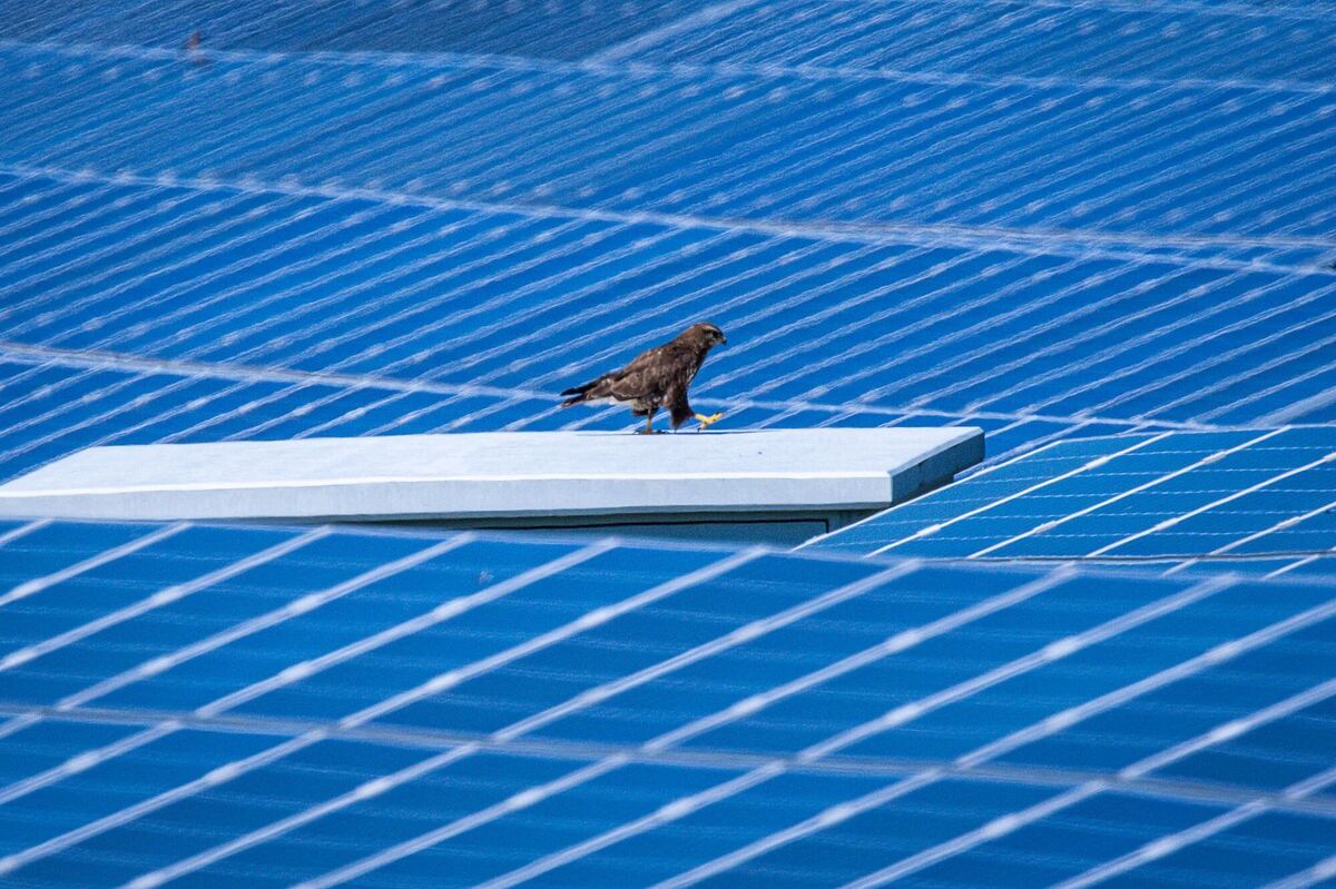 Ausbau der Solarenergie in Deutschland Ausbau der Solarenergie in Deutschland