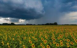 Mal Sonne, mal Schauern kommen auf das Wochenende in der Region zu. (Archivbild)