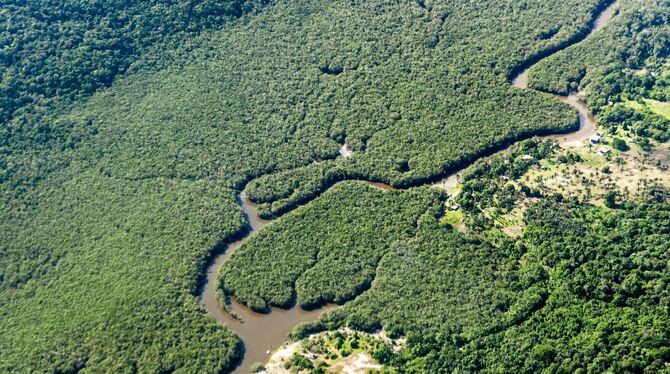 Rodung im brasilianischen Amazonasgebiet Rodung im brasilianischen Amazonasgebiet