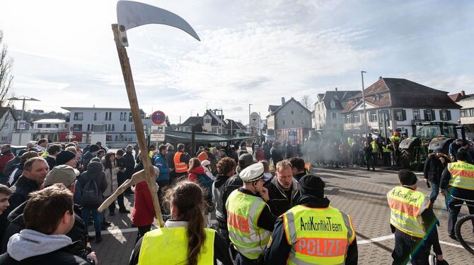 Politischer Aschermittwoch - Baden-Württemberg Grüne