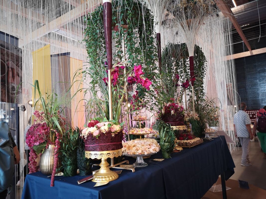 IMG_20240805_160538_resized_20240806_113753586