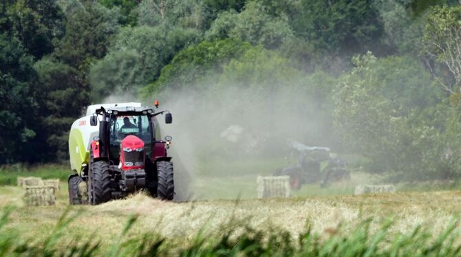 Auf dem Feld - Wetter Brandenburg Auf dem Feld - Wetter Brandenburg