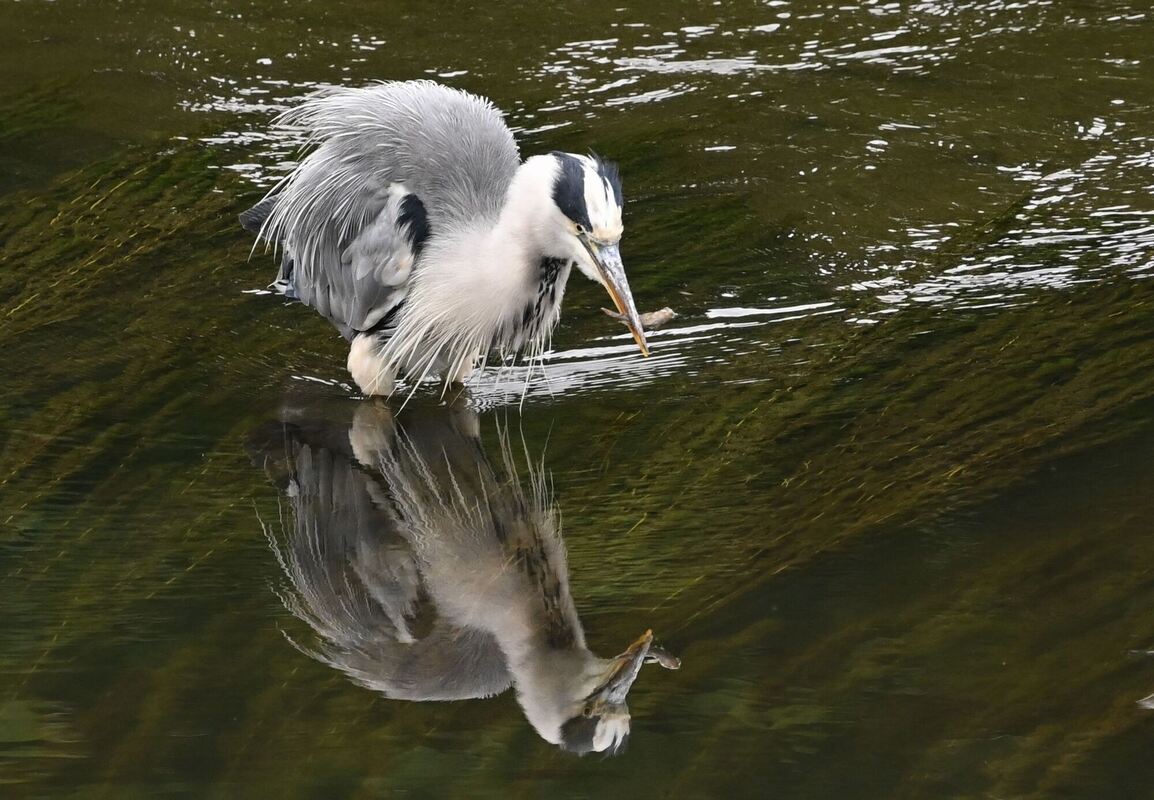 Sommer in Wetzlar Sommer in Wetzlar