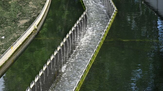 Klärwerk Pfullingen Kommt das Wasser ins Absetzbecken, ist es zwar schon sauber, aber erst beim Verlassen auch klar.