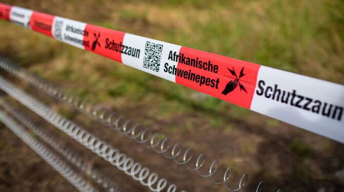 Schutzzäune gegen Afrikanische Schweinepest Schutzzäune gegen Afrikanische Schweinepest
