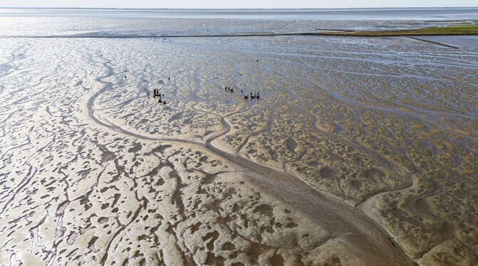 Wattenmeer in Schleswig-Holstein Wattenmeer in Schleswig-Holstein