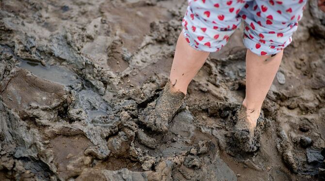 Weltnaturerbe Wattenmeer Weltnaturerbe Wattenmeer