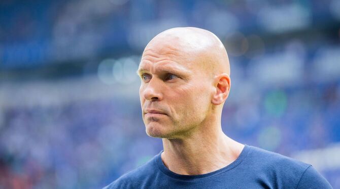 Das Personal im Sommer-Dschungel 2024