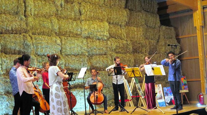 Immenklang, Ensemble auf der Suche, Streicher Das »Ensemble auf der Suche« beim Abschlusskonzert des Immenklang-Festivals in der Maschinenhalle Hespeler in Immenhausen.