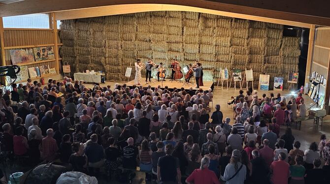 Tolle Akustik in der Maschinenhalle mit Strohballen hinter der Bühne.  FOTO: JOCHEN