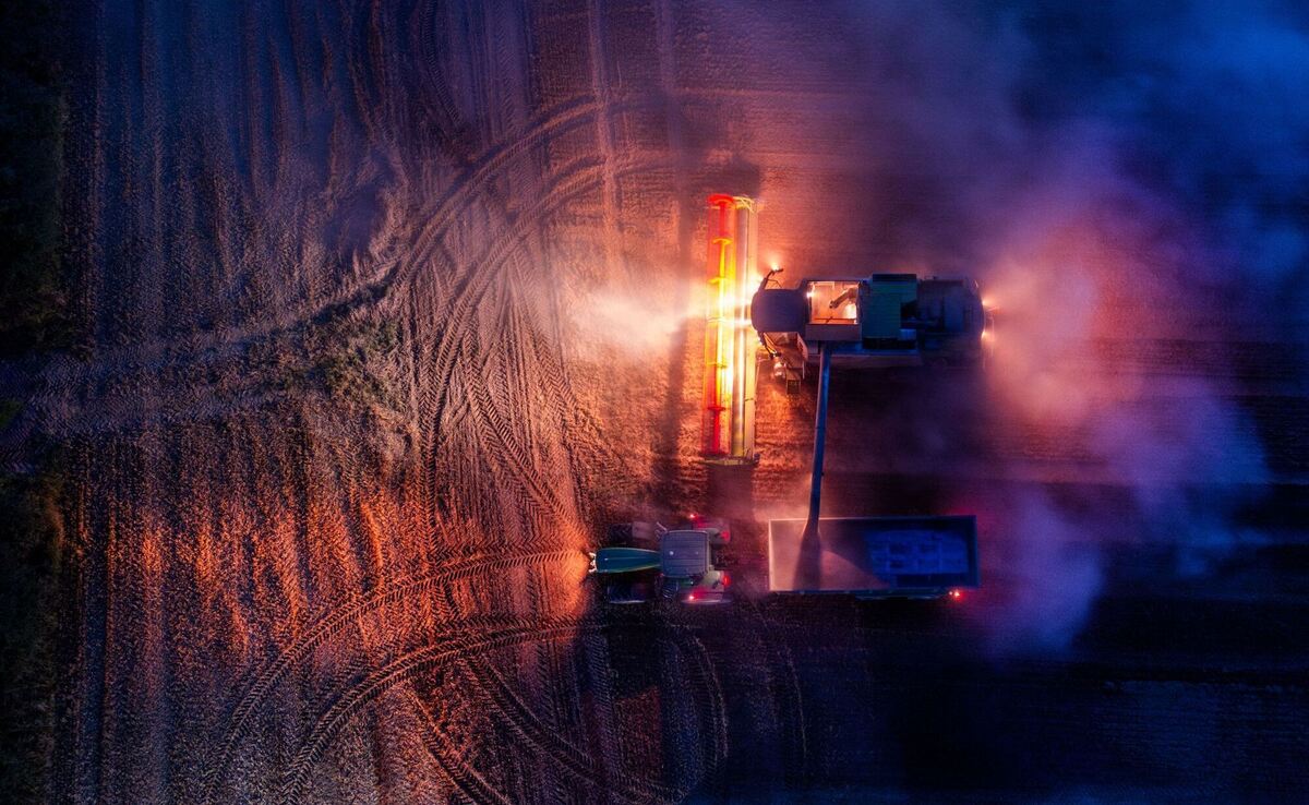 Getreideernte am Abend