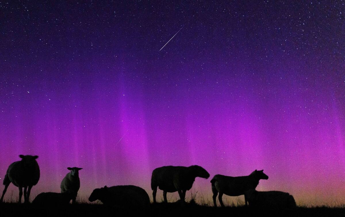 Polarlichter über dem Deich Polarlichter über dem Deich