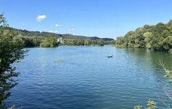 Natur pur bietet der Hirschauer Baggersee.  FOTO: STRAUB
