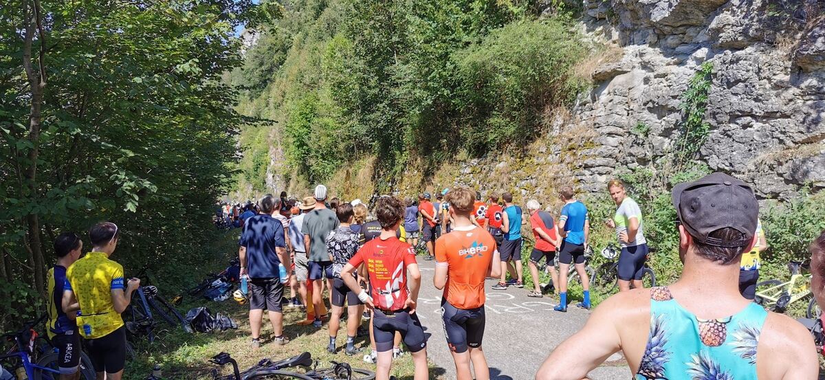 IMG_20240824_134930_resized_20240824_062420461