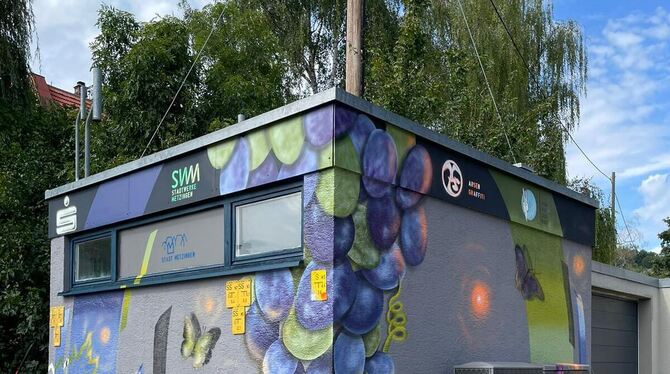 Das Graffitiprojekt an der Gasdruckverteilerstation der Stadtwerke Metzingen am Kreisverkehr Ulmerstraße, Wielandstraße und Metz